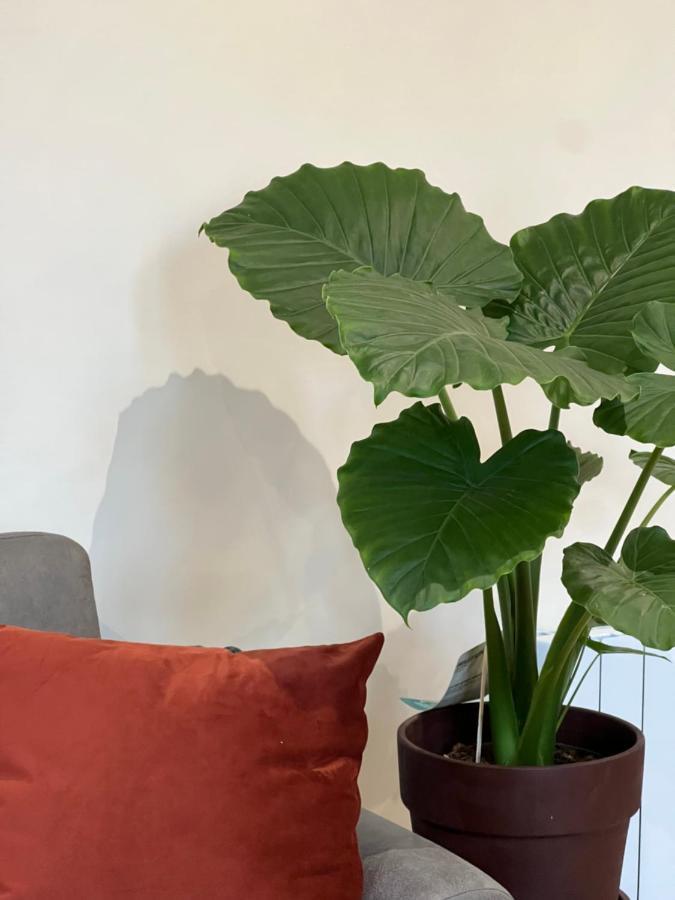 Myaka Appartement Wood Cholet Esterno foto